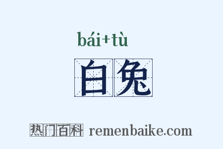 白兔是什么意思的图片